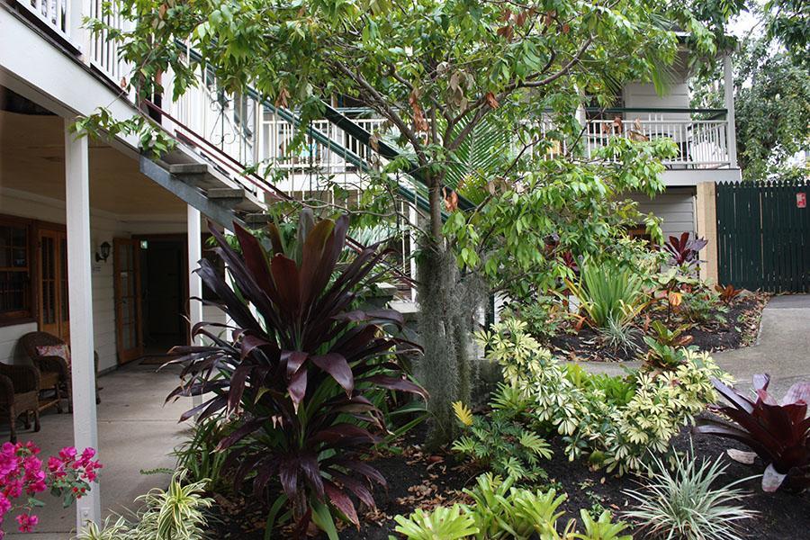 Ellie'S Guest House Brisbane Zewnętrze zdjęcie